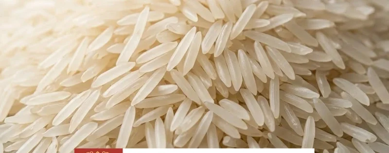 basmati rice exporter