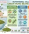 Nutritional Value of Green Mung Beans Explained