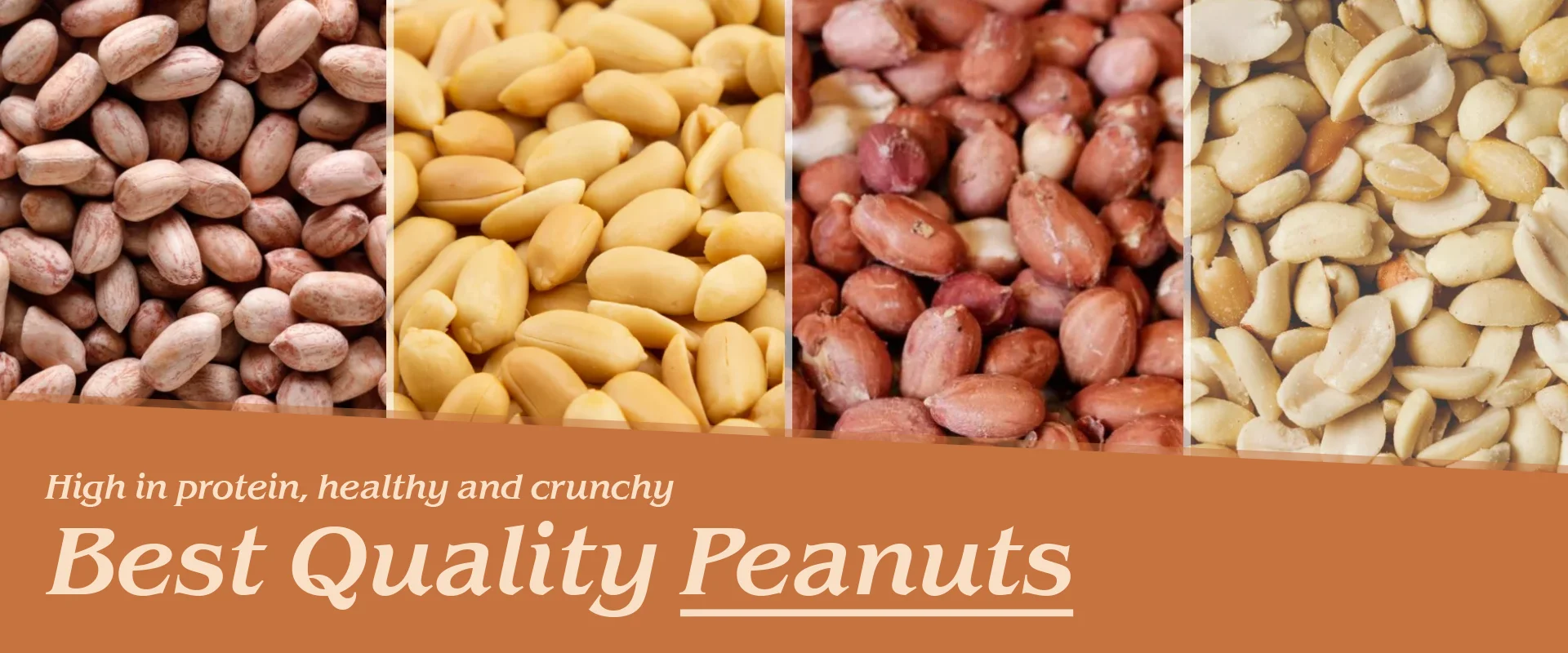 peanuts-banner-new