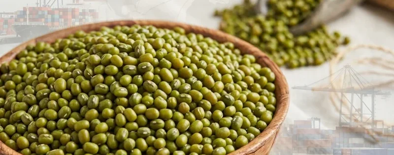 green mung bean