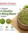 How to Choose Export-Quality Green Mung Beans for Bulk Import