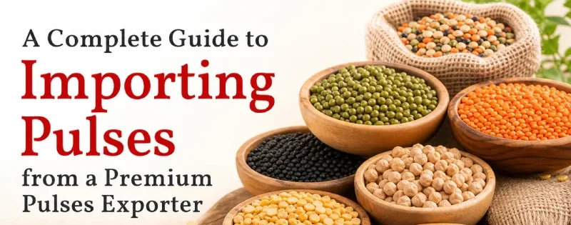importing pulses