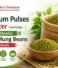 Premium Pulses Exporter Supplying High-Quality Green Mung Beans Worldwide